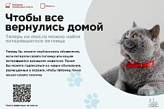 ПОЛЕЗНАЯ ИНФОРМАЦИЯ ДЛЯ ВЛАДЕЛЬЦЕВ ДОМАШНИХ ЖИВОТНЫХ