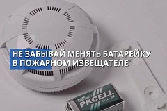 Не забывай примерно раз в год менять батарейку в пожарном извещателе
