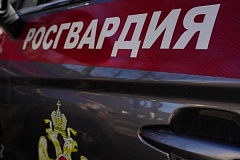 В Москве росгвардейцы остановили машину, числящуюся в розыске