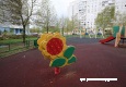 bal_2781.jpg