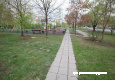 bal_2776.jpg
