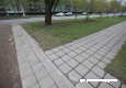 bal_2787.jpg